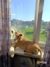 dzrdXyeDpiQ-qUqybtU1Sd4kdewkqJJorlbSQbg83roezZ_gh5guefkap3k5aaDoJH0ZPFZaO-W7mqmxn1KnwSLO