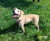 TyftbvN1JE76-nV4BWjJ-STg4B9YvpP2H9hDmKZxmHAt5q2Kc4HD7oBEapJD-7M_cLemlE8BmbK_6064_HX4y18-