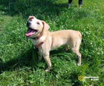 TyftbvN1JE76-nV4BWjJ-STg4B9YvpP2H9hDmKZxmHAt5q2Kc4HD7oBEapJD-7M_cLemlE8BmbK_6064_HX4y18-