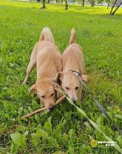 v8IyA8nPa-HXbJ2Kl7_B_AjpeR9Qd4DbDIVI_gb7lLqO1FOXoE1Qc_EIGdxu3zFuCQsXoqzGorTK4RzAwyRcbkFP