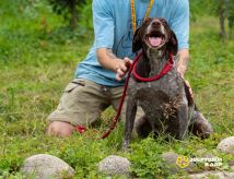 53KSYi5G66rwG9gqcvXcW8TeKdsmXAQtNv3grD14DmBCxmg_bp3x_6WhsPMku8sTxpdMM-u6oZCNdoqF8yOCS6bQ