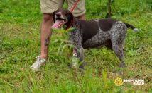 GE-Mp0Ofv3mwz7lHbu7x4fEWoh7RIVrdZsuY2Q3Qy-YOmQQet2FXzH1q9gq8tI2K3KFY66w4eO30ue0BAiLKne2o