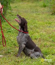 Qk3RcQs1ASpboOleUecox-zyaRDaeyG9WQDCzzMsw3FD2GZk5Jbdzfl_fQdS2HMN4TpLTUSYgJA3c0FJAk1_JORH