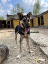 photo_2025-08-12_03-35-52