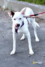 !!!Булочка (3)