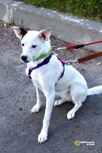 !!!Булочка (5)