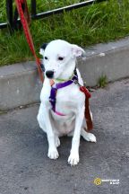 !!!Булочка (7)