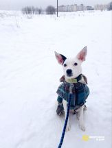 photo_5231017859134199271_y