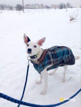 photo_5231017859134199285_y