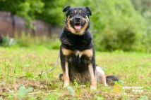 WhatsApp Image 2025-09-20 at 13.36.49 (1)