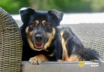 WhatsApp Image 2025-09-20 at 13.36.50