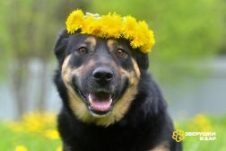 WhatsApp Image 2025-09-20 at 13.36.51