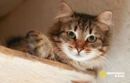 Изображение WhatsApp 2025-10-03 в 16.40.48_db3c6805