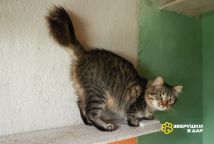 Изображение WhatsApp 2025-10-03 в 16.40.49_6e7bb329