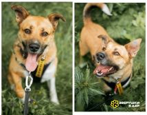 MyCollages - 2025-09-11T151911.392