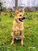 IMG_20251013_133439_1