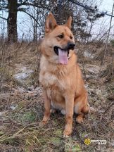 IMG_20251229_120735_897