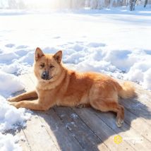 IMG_20260206_210214_595