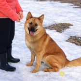 IMG_20260327_151426_208