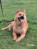 Screenshot_20251022_221538_com.google.android.apps.photos~2