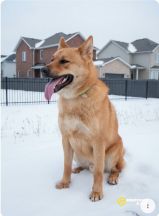 Screenshot_20251229_183618_ai.perplexity.app.android~2