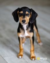 gplh26PPyGzgceVPbUCzfLKBDOx8EK4W6