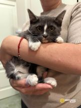 i0cDDgmWSn4K-VDagrM2Ga-W2mPKzQyDpV0yGYMk-a24kDt2eLBsZnR2Lg9yQ5Y9ls8Uhj-ckrl2h0a_ty9mpNW3