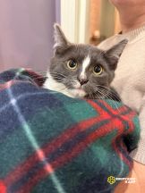 IZEOMCz-7NuUx27M_llGd-_BJMuIiciWByWVv5hQh3FP8_4k1gNk5R2poH6RCYwFx5x2ZR8HhO_9_C6IKnsdlESY