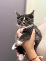 L70TAQcVB6tk4P8Z5nrMbOl8TBYwzMggiOTcv1gfmb2NRcgMEn8a_q01a4kYysMr021zuQc0INZX1AKrHyPVtBUb