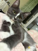 zDrgJFYvx_nlJT4sg8gUsm-zcFD_6D6LomlTW4uAkO8wiRMnnsVBrlkmVFYayCmxhdKTOXgRQGA9ScKwRKNlPl-g