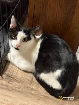 8r-r3Y3OjaOubpDWQ4ClPClImMheADmQa79bHMSORInmy7qWx2LC3HH5vt5TVH6F9Tw7pelGbnefMsWXZZ6XimpI