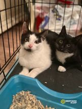 9K9MY9avXC6D5bKQZkONCDolYAIXWkTuxcXt_yCqfwnUpoil_HjXYyroCp1LXikhIupwCLSUQ5aLJE3EXmvo6QXd