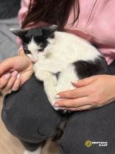 b95I85BnSsgpr8G9kXkT7v_zBFxUkb_BZEM2i4cZdf463-7fiNq-MyyEBXOhXXmJ6bz1MFHJr-nEwItV_6V137X3