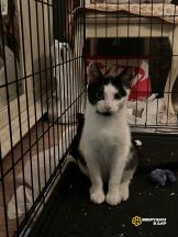 s6flN_U67ZHqI7xtwuLjKV3EyYU2vOVQFCJr9beon5zEKQlOc5eiNT2fJ8FIxUL_MEh2t6y0oPeJ8Lg54NudF1ym