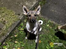 avito-1761398334210-shot