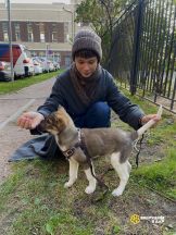 avito-1761398849766-shot