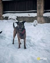 IMG_20260127_114950_397