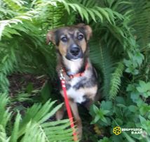 IMG_20230709_103959 (1)