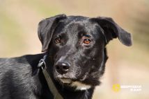 IMG-20250507-WA0000 (1)