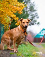 !!!Никуся нов (14)