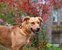 !!!Никуся нов (16)