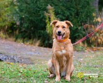 !!!Никуся нов (1)