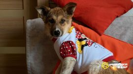 70XuNyXkEyHDDnkMbxZevVhdiaBeecHqw1QK1MYmFqHrLloiEn5aX8Mkjr-nH1B3at6SVRkWa87ZogQU04UZuS_7