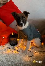 SJQT2vbiu_JSFO9erne4CVI2Rq4nI0xuHJSKeYDwVIOo8ljHiIfNLL8KNT-_2j9QY6XfSl9WtoCD7qx8aax2_SKQ