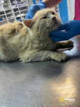 nJoLlS_k073GEdIwBechrxx0HN2iP1mszJBeG7ZGTXG28Nl8HQLJZA3Ne5VsW8EPcZ2MG7p6CB2WMrY0kNiy5U3z