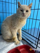 v-vqstWGByrZdMIE-ffKxC-yKt62QsEOwgpWNgQo0F7g762mtJL3hR58AqTiWtlvI53uDJqPM73ithu_nOOAeOu7