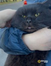 4BxkOZqSjG6rtScdEG7K6zPQHm2l-2xlTVsZIKcqKh_rMOFBNNbGMJFsn-xIFb7zZ5F8Ua896uNS_kMcTMKPnqxR