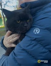 lnCiM08wk8LmGeJnvmeDe3vJdDpzOzXbo9HJ1LUnAeG7OAmuups6R80TdZgy9WX-_I1LjPsKarhsu9c2XBqWthO7