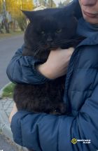 P41ZALYNpfBC3gghQRvcalvZVOjXGw3HPji1NEcVp93V_kUGw5lcctDhFLXFBKQVluSEHjowFH2R1nz6QZoJJs-V