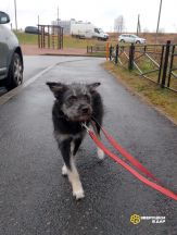 !!!Камилла (1)